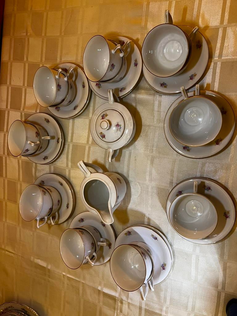 Vintage koffieservies royal epiag czechoslovakia, Ophalen
