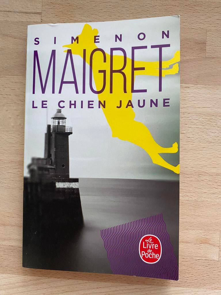 De gele hond, Simenon Maigret, Boeken, Ophalen, Zo goed als nieuw, Simenon Maigret