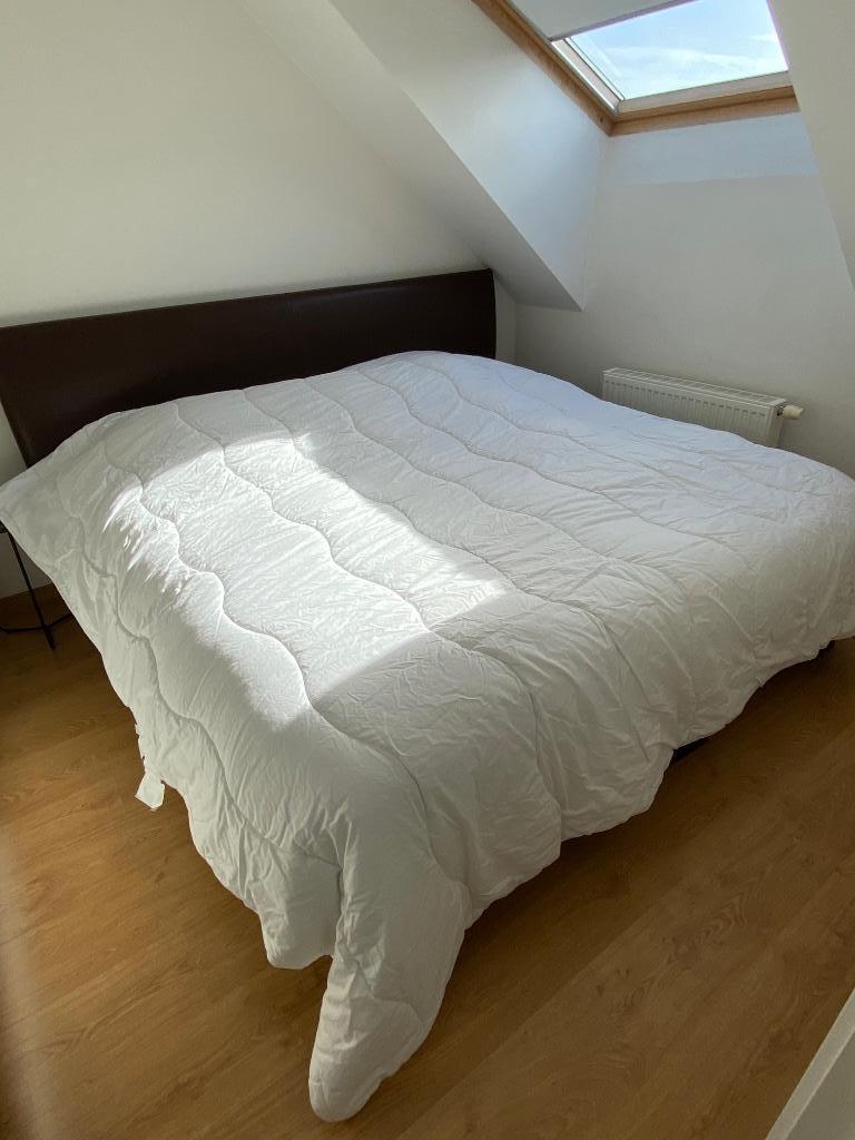 Donsdeken, Ophalen, Nieuw, Tweepersoons, Deken of Dekbed