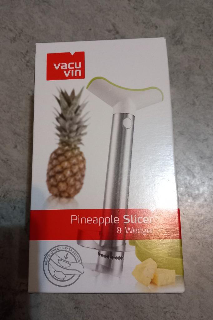 Vacuüm wijnvacuüm en ananasschijfje Professioneel in staal, Ophalen, Nieuw in verpakking, Overige typen