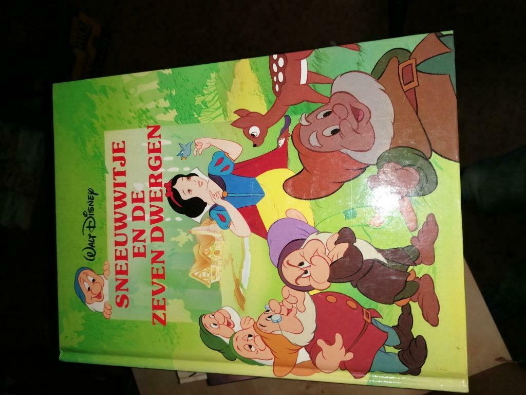 Boeken Disney, Boeken, Verzenden, Gelezen