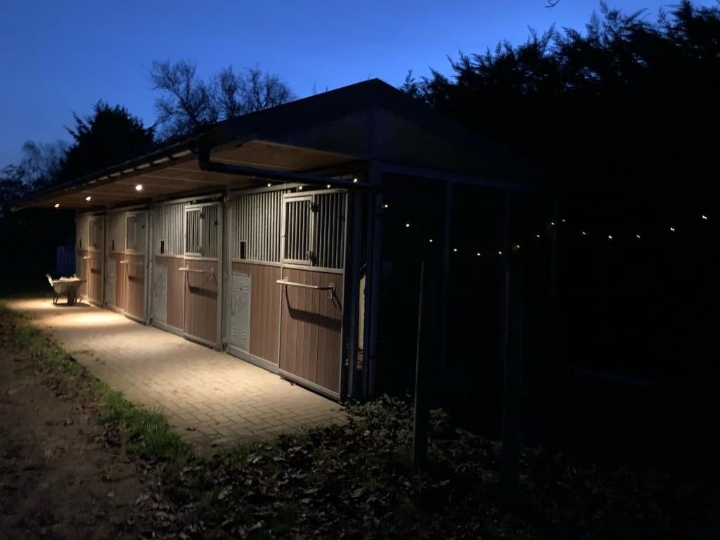 TE HUUR – 4 paardenboxen, Stalling, 1 paard of pony