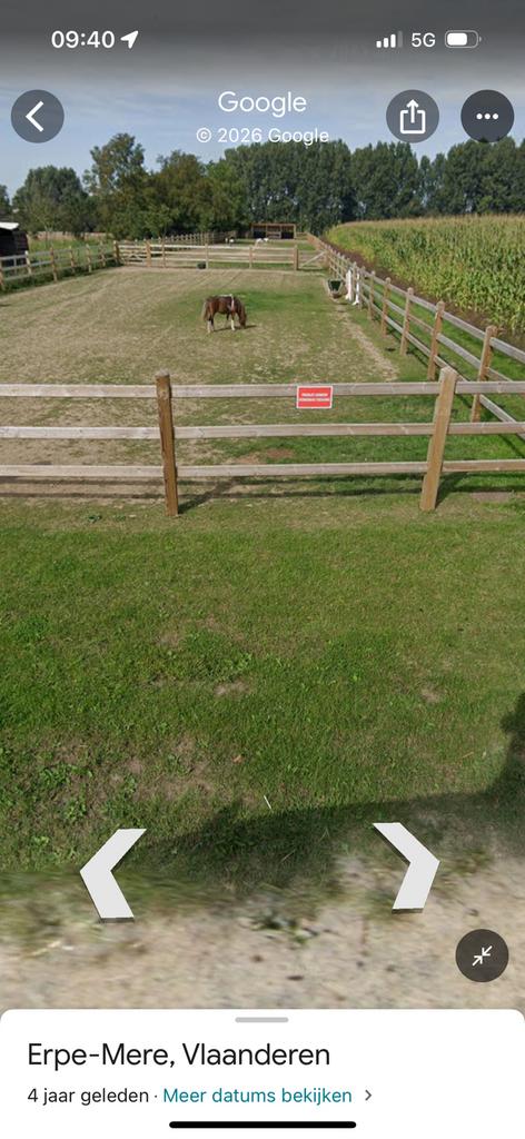 Weide met omheining, Weidegang, 2 of 3 paarden of pony's