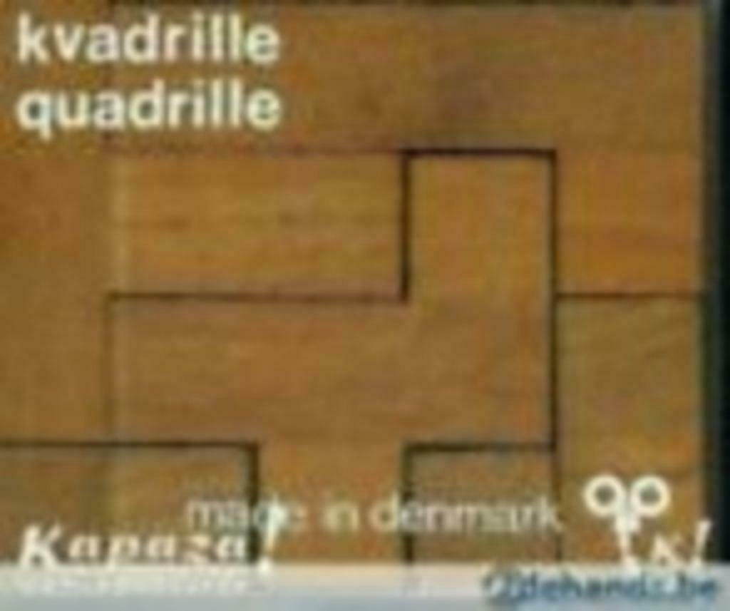 Houten blokken Puzzel; Kwadrille-Quadrille., Hobby en Vrije tijd, Ophalen of Verzenden, Zo goed als nieuw, Overige typen