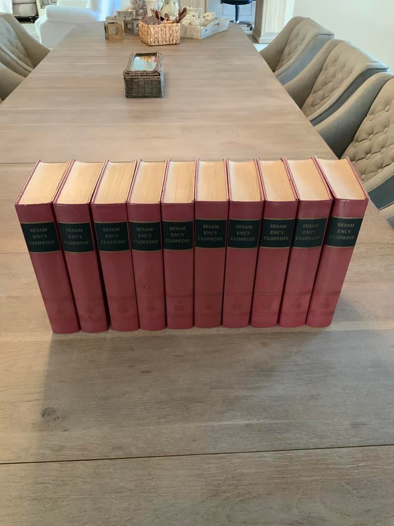 Sesam encyclopedie, Ophalen of Verzenden, Zo goed als nieuw