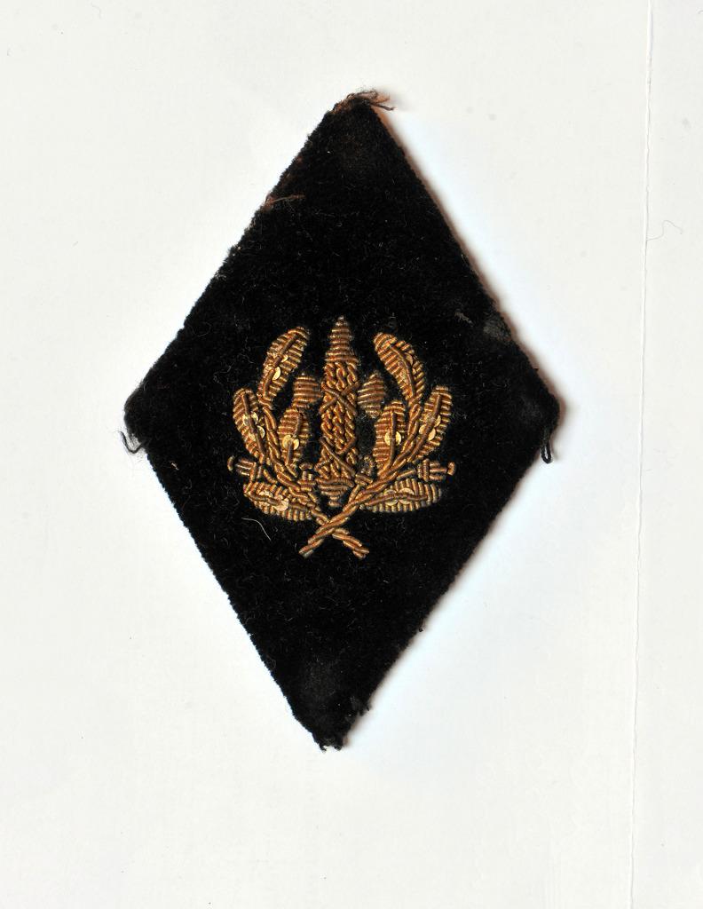 Auditeur militaire - type Bullion, Envoi, Armée de terre, Emblème ou Badge
