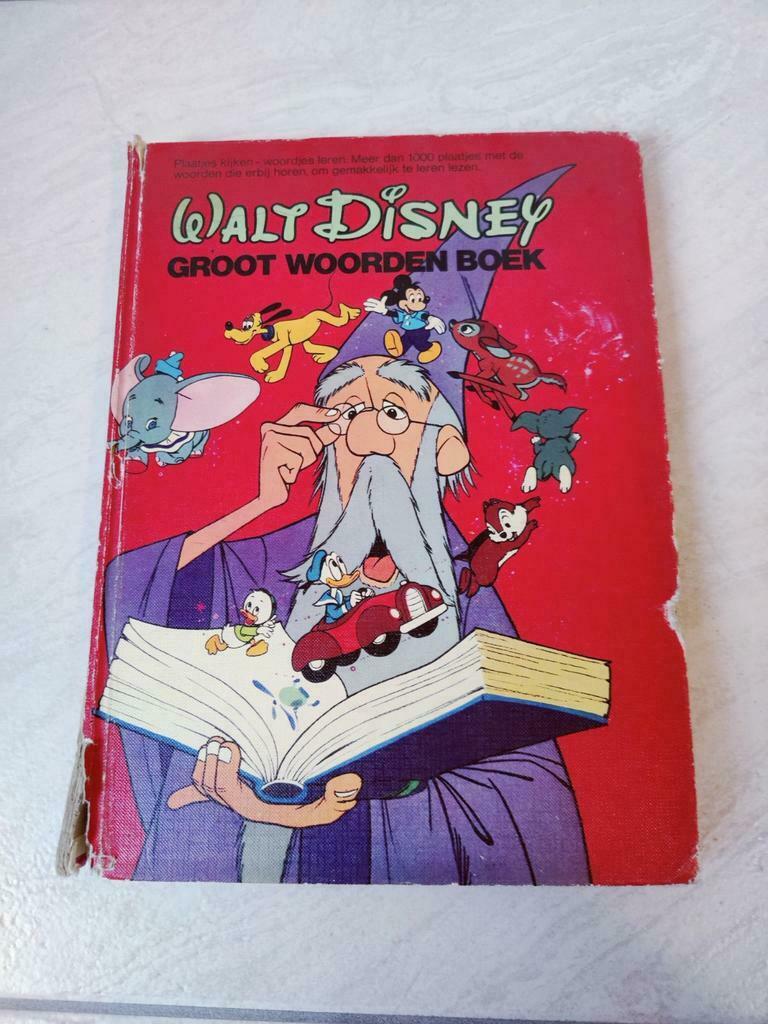 Disney boeken, Boeken, Ophalen of Verzenden, Zo goed als nieuw