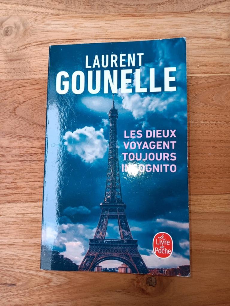 Livre : les dieux voyagent toujours incognito, Livres, Enlèvement ou Envoi, Comme neuf, Laurent Gounelle