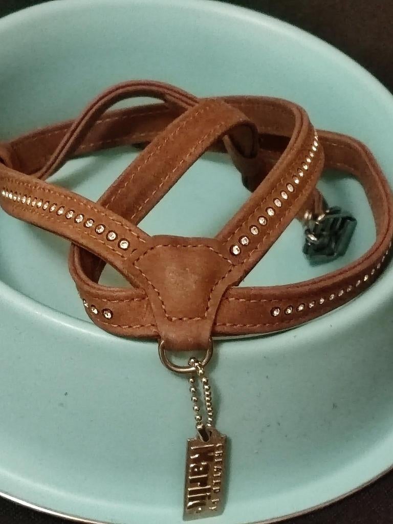 Laisse pour chien et gamelle, Enlèvement ou Envoi, Comme neuf, Laisse pour chien