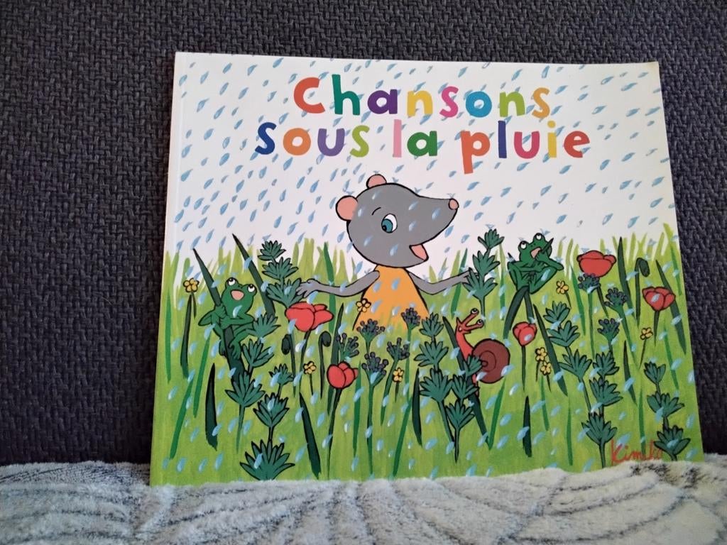 Chansons sous la pluie, Livres, Enlèvement ou Envoi, Comme neuf