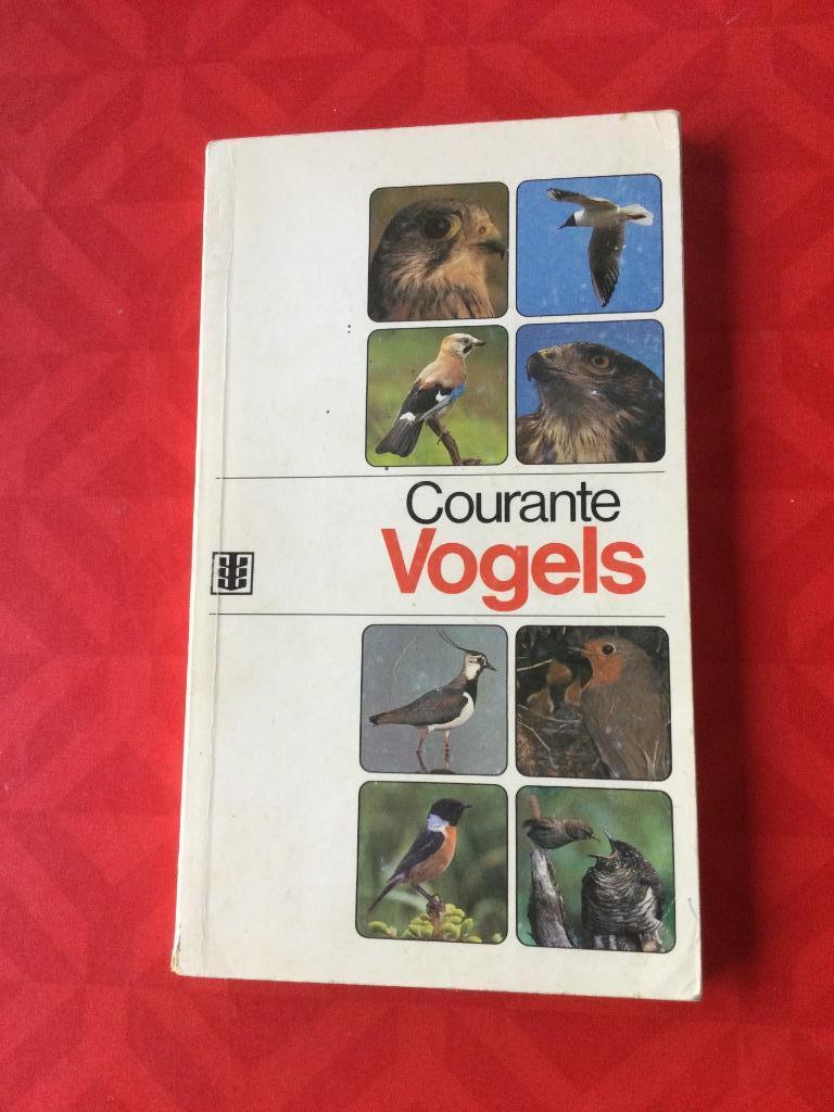 Courante vogels, Enlèvement ou Envoi, Utilisé, Sciences naturelles