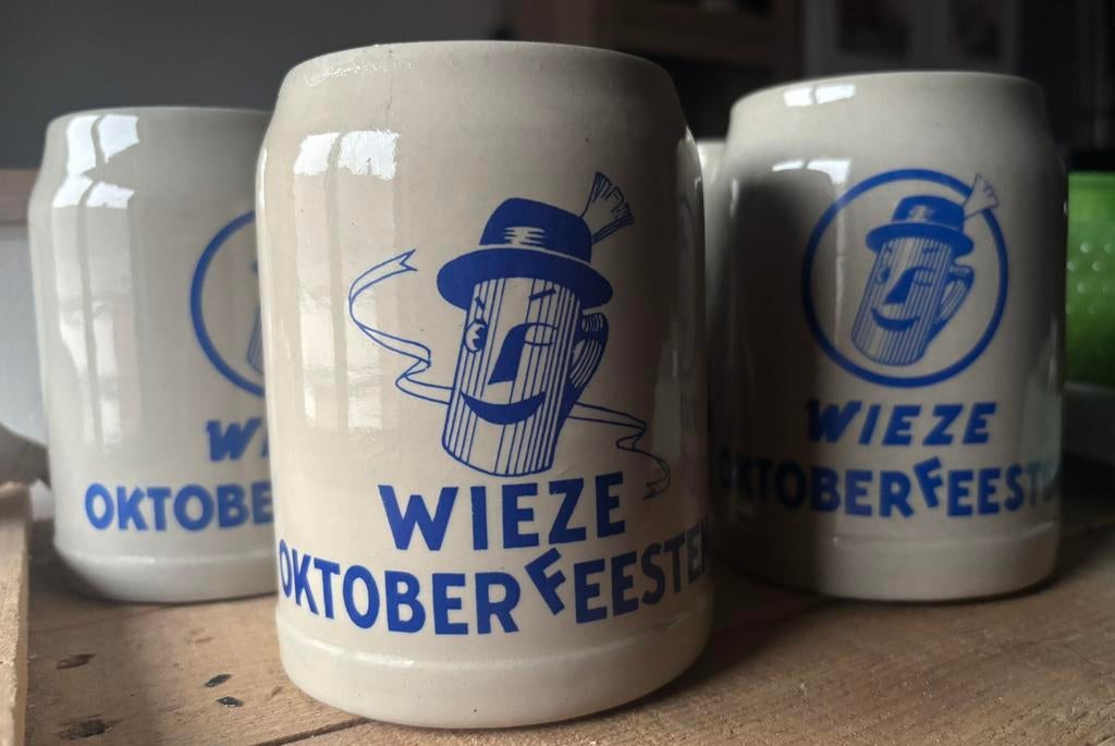 Duitse bierpotten, Ophalen of Verzenden, Zo goed als nieuw