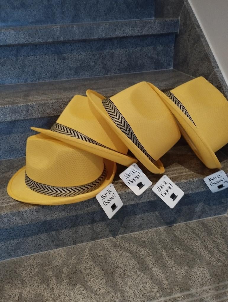 3 feesthoeden borsalino. Nieuw., Borsalino, Ophalen of Verzenden, Nieuw