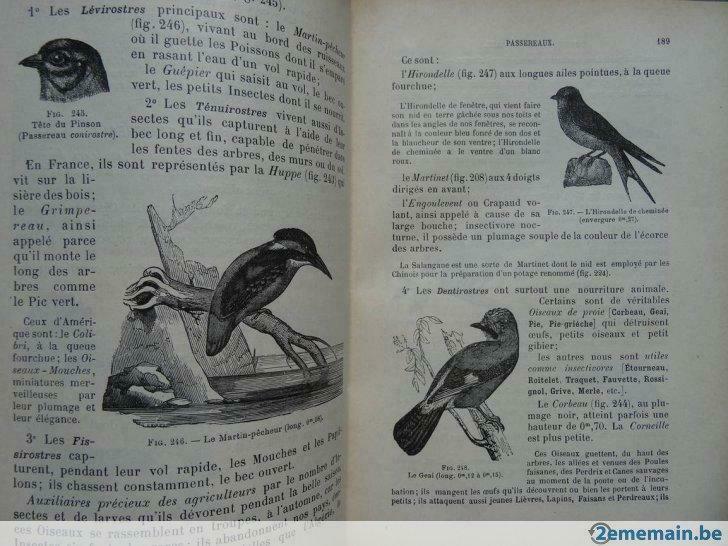 Histoire des animaux E.Aubert 1902, Antiek en Kunst, Ophalen