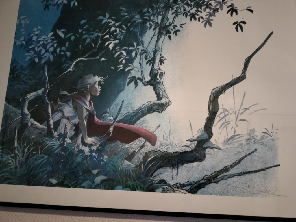Sérigraphie loisel Peter pan 70x50 cm très bon état, Enlèvement, Comme neuf