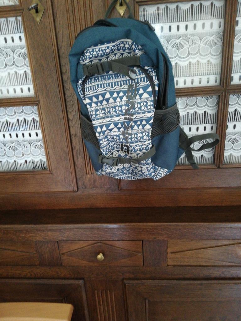Sac à dos Dakine 13 litres. Neuf., Bijoux, Sacs & Beauté, Sacs | Sacs à dos, Enlèvement ou Envoi, Comme neuf