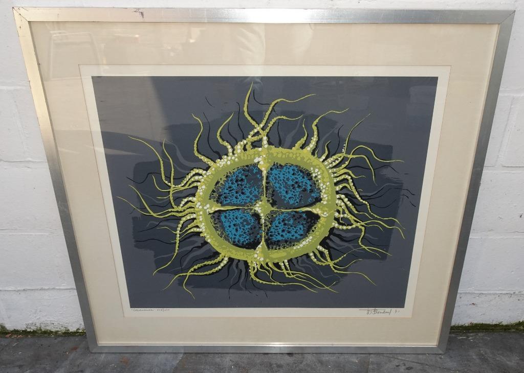 ZEEANEMONE LITHO WILLY BOSSCHEM ABSTRACT VINTAGE MODERN, Antiek en Kunst, Ophalen of Verzenden
