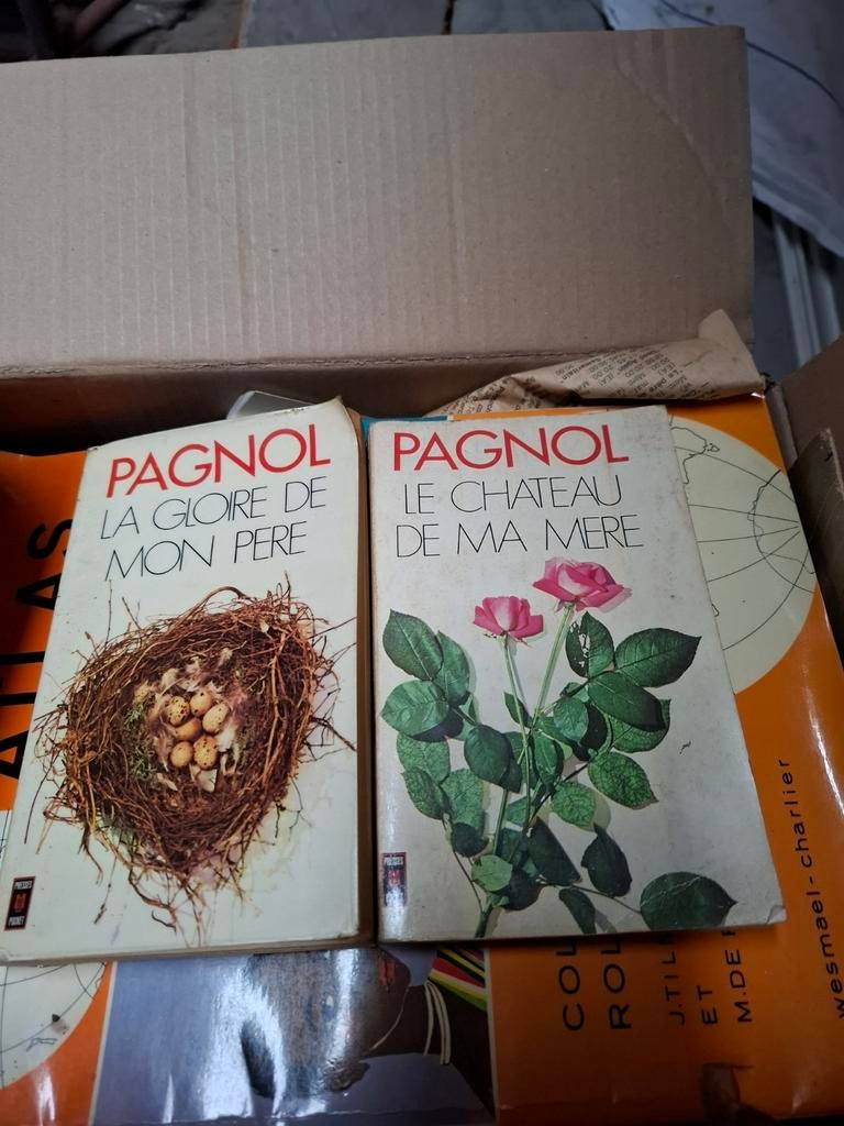 Pagnol lot de deux livres de poche, Enlèvement ou Envoi, Utilisé, Pagnol, Europe autre