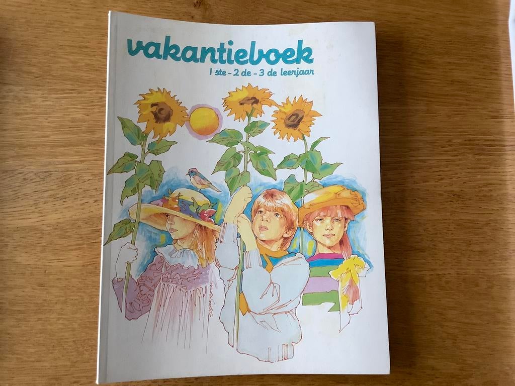 Vakantieboek Averbode, Boeken, Ophalen of Verzenden, Zo goed als nieuw