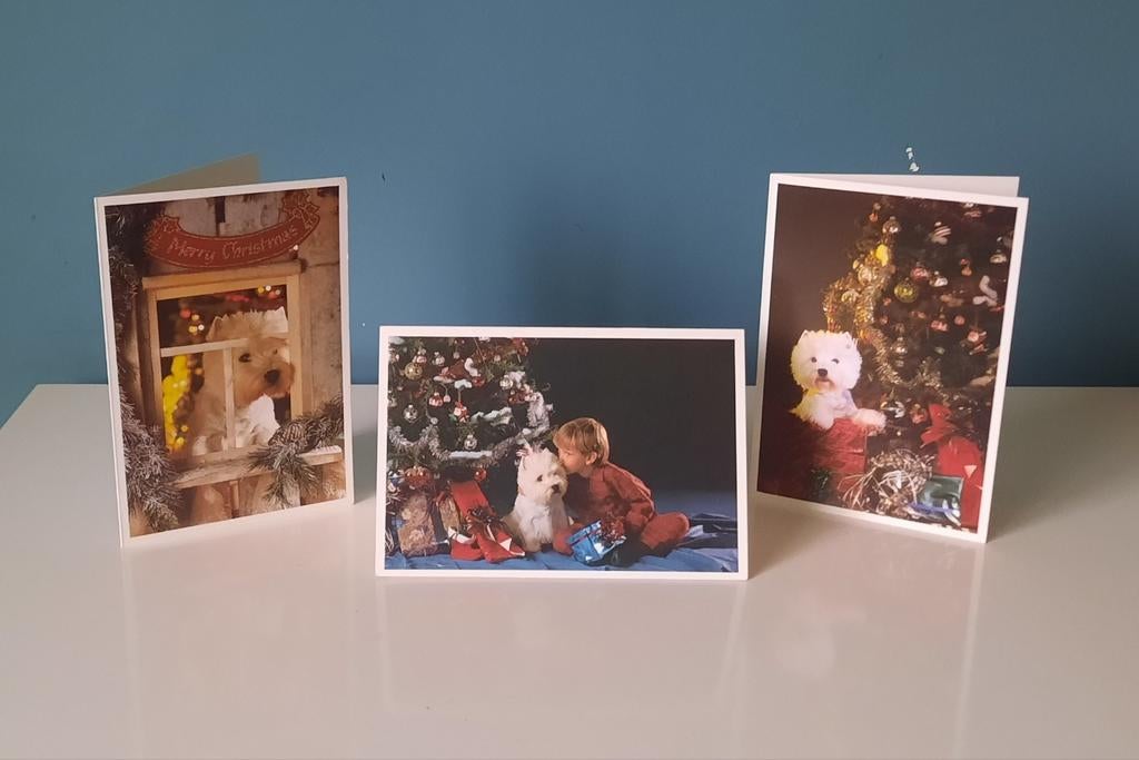 3 kerstkaarten met hondje, Diversen, Kerst, Ophalen of Verzenden