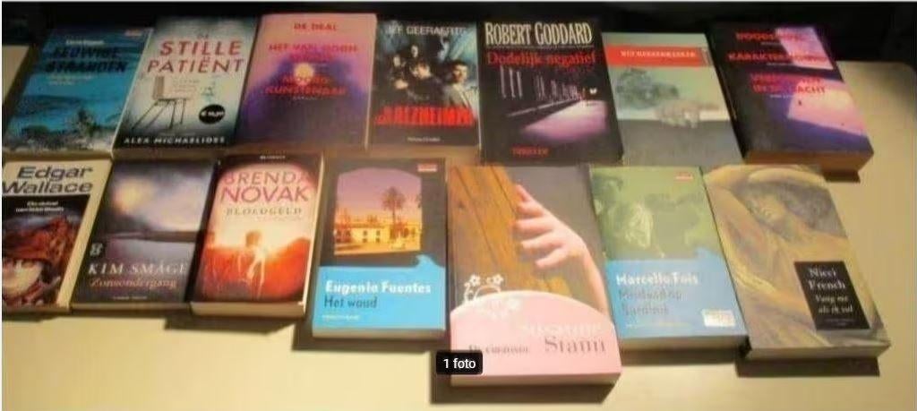 14 Prima Nederlandstalige Thrillers van bekende Auteurs, Boeken, Thrillers, Zo goed als nieuw, Ophalen of Verzenden