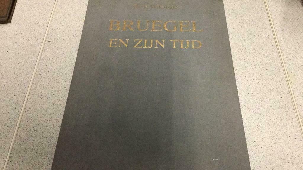 Bruegel en zijn tijd (z K1), Boeken, Ophalen of Verzenden, Gelezen, Artis, Prentenboek