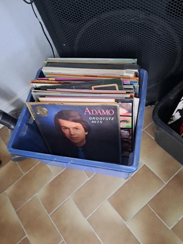 LP's te koop, Enlèvement