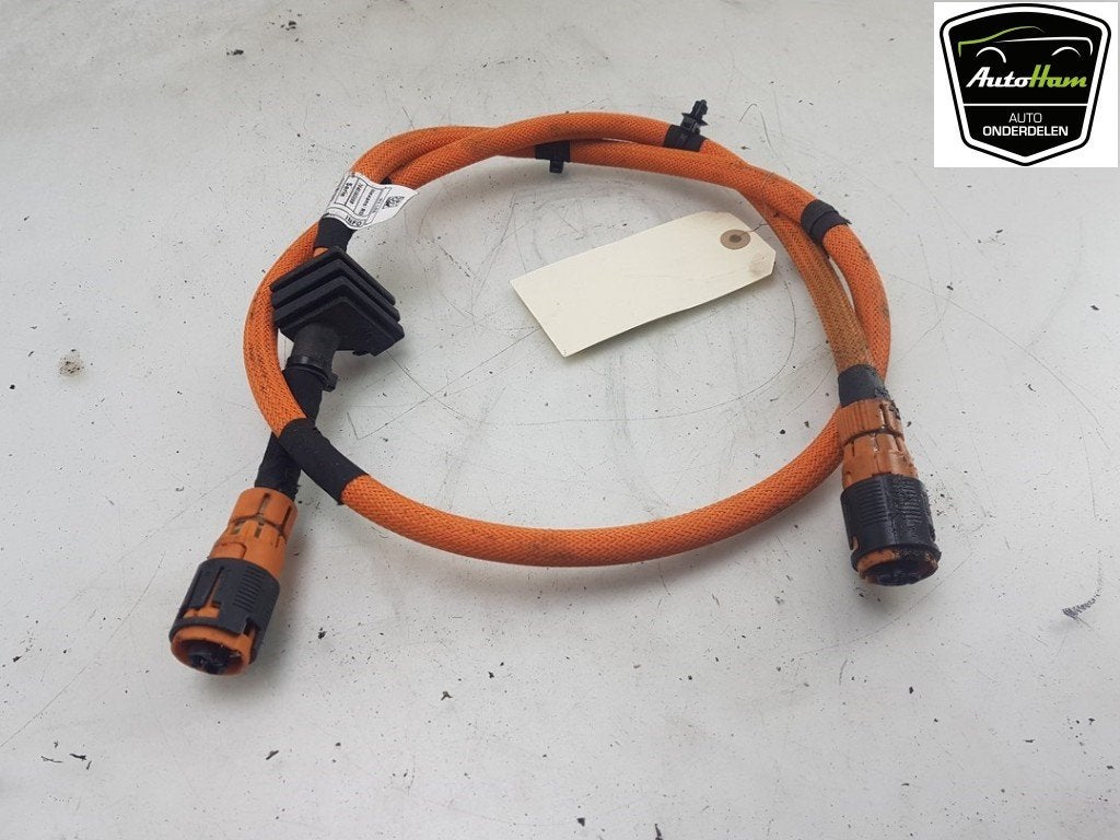 CÂBLE HT (HAUTE TENSION) BMW X5 (G05) (01-2018/03-2023), Utilisé, BMW, Petuelring 130
80809  München, DE, Bayerische Motoren Werke AG