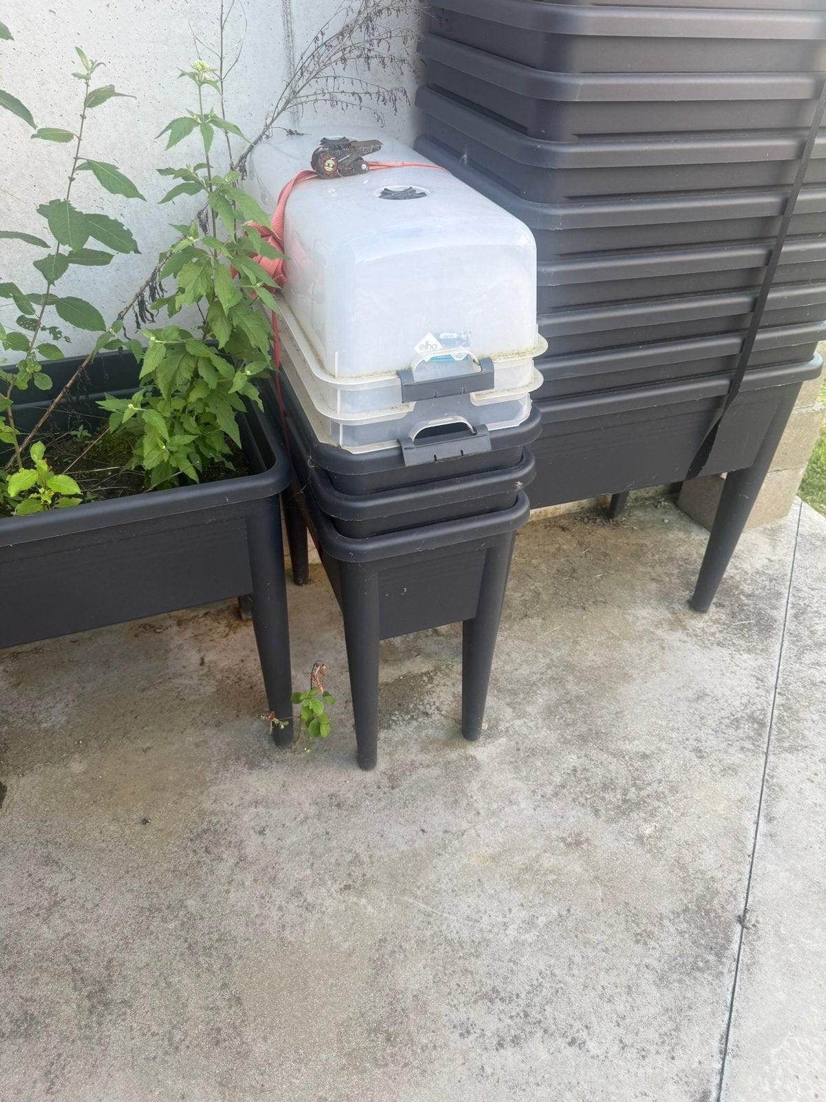 Moestuinbakken Elho met deksel, Tuin en Terras, Ophalen, Gebruikt