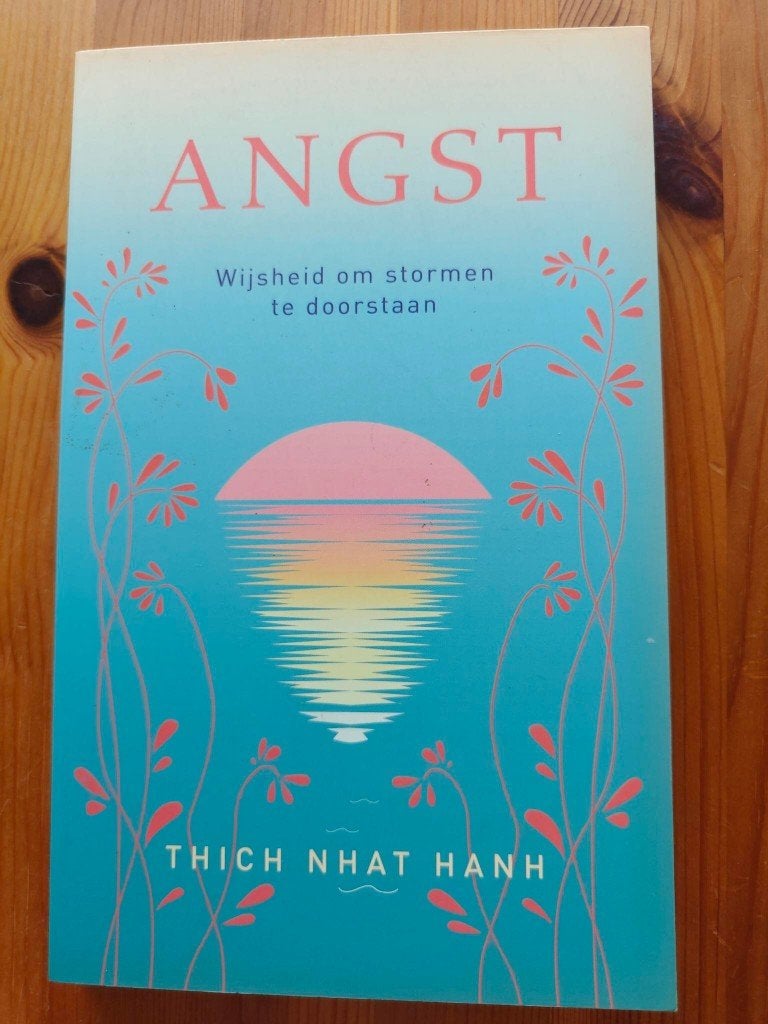Angst Thich Nhat Hanh, Livres, Ésotérisme & Spiritualité, Comme neuf, Autres types, Spiritualité en général, Enlèvement ou Envoi