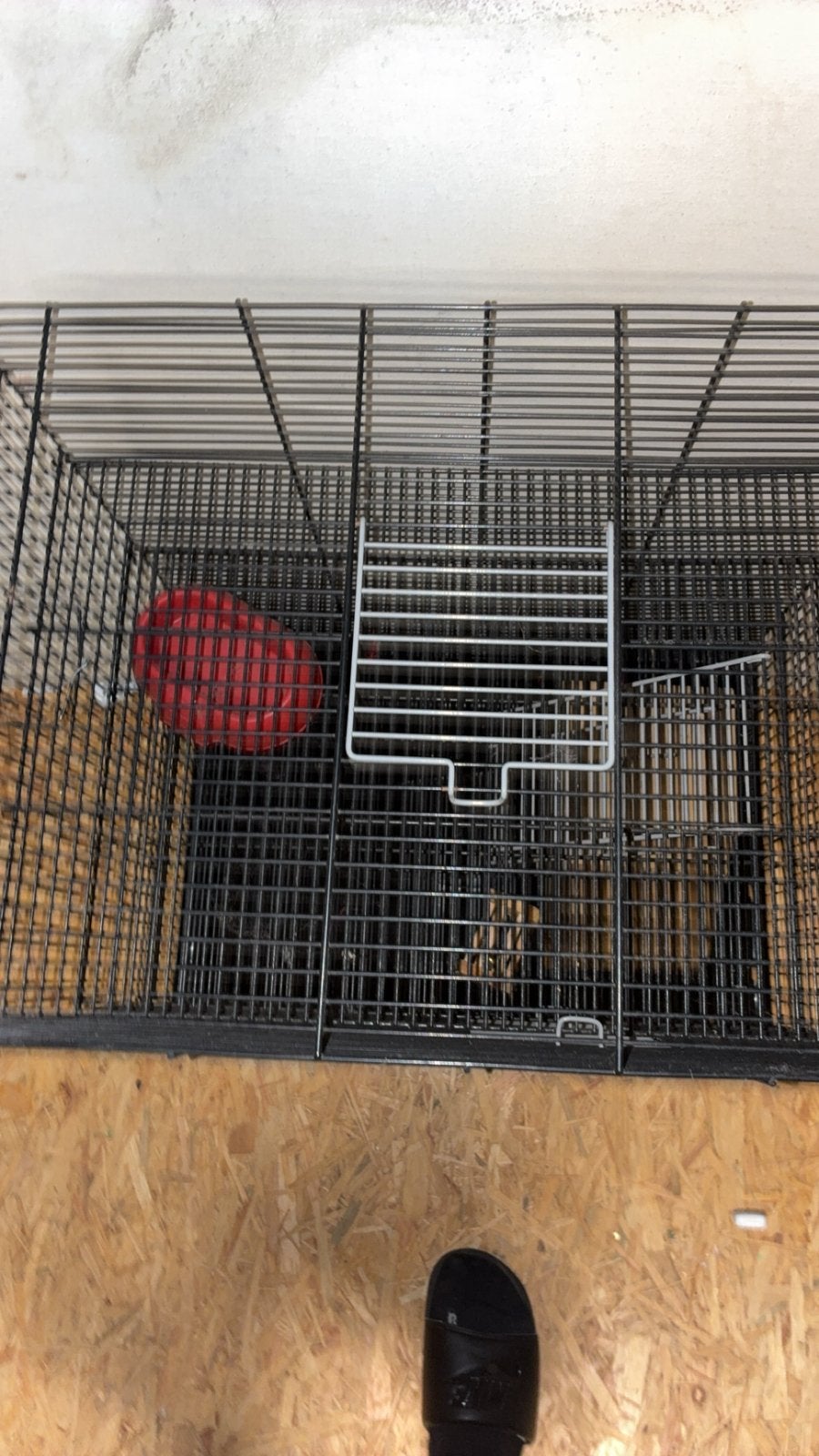 Cage, Dieren en Toebehoren, Ophalen of Verzenden, Zo goed als nieuw, Kooi, Rat