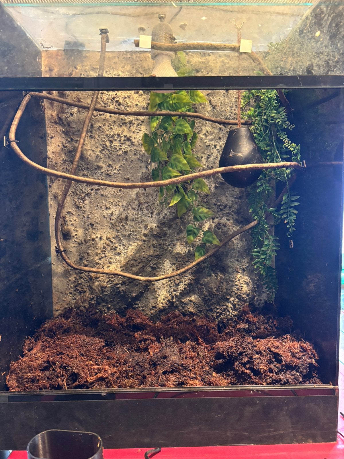 Terrarium h80xb60xd40, Ophalen, Gebruikt