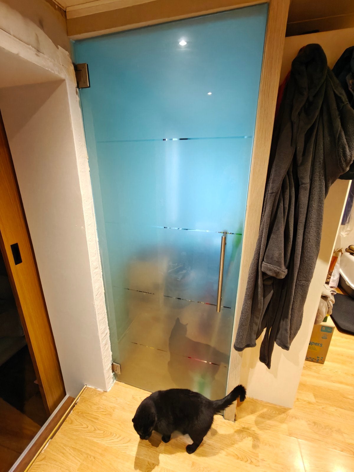 glazen binnendeur, Doe-het-zelf en Bouw, Deuren en Vliegenramen, Ophalen, Gebruikt, Minder dan 80 cm, Binnendeur