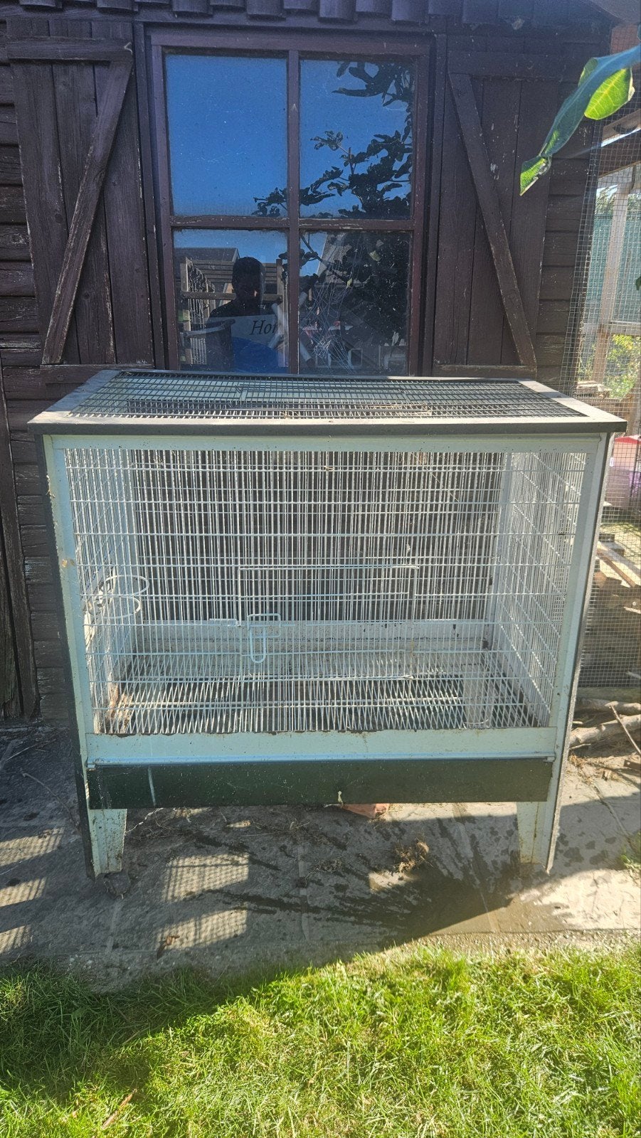cage oiseaux élevage de poussins cochons d'inde/hamster, Enlèvement, Cage à oiseaux