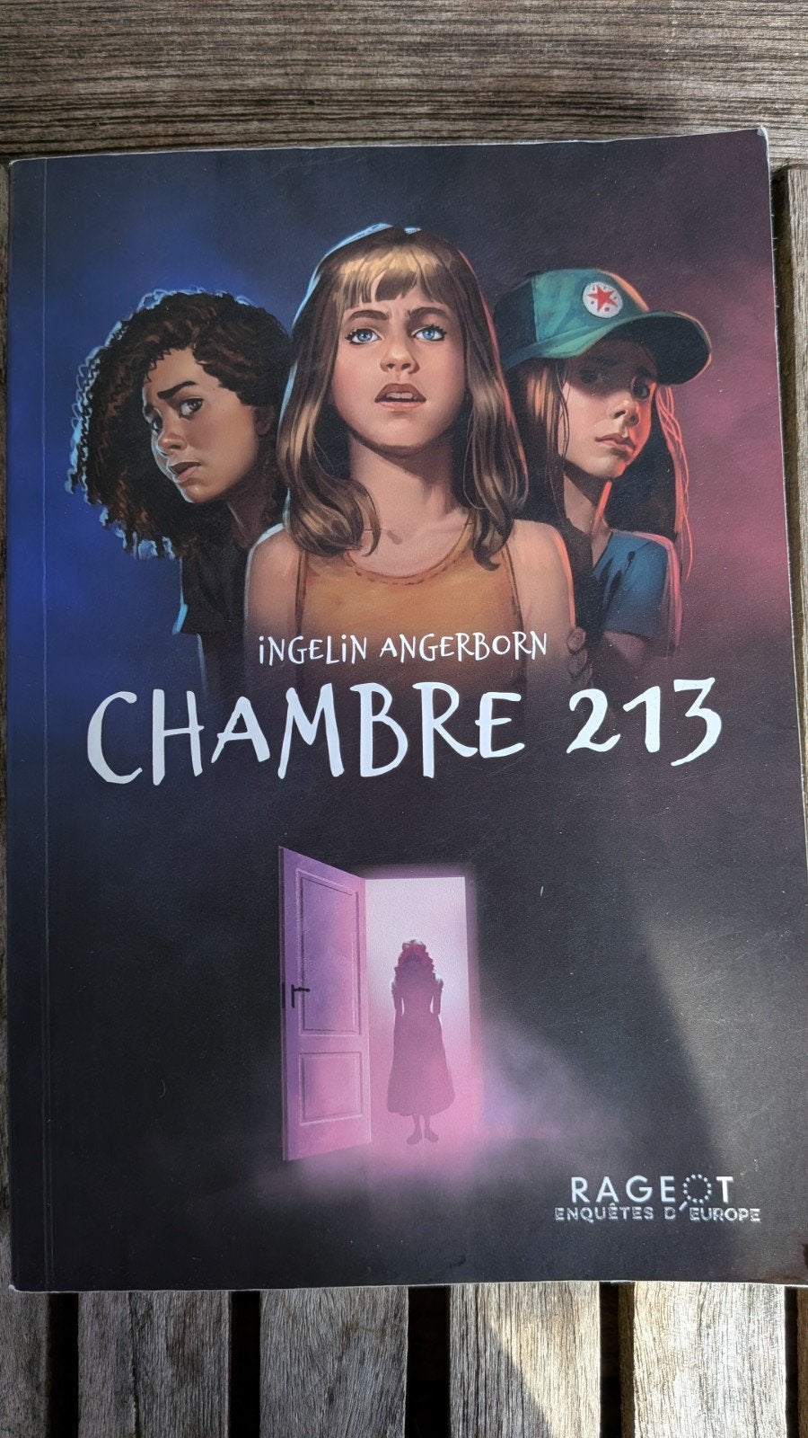 Chambre 213, Livres, Enlèvement