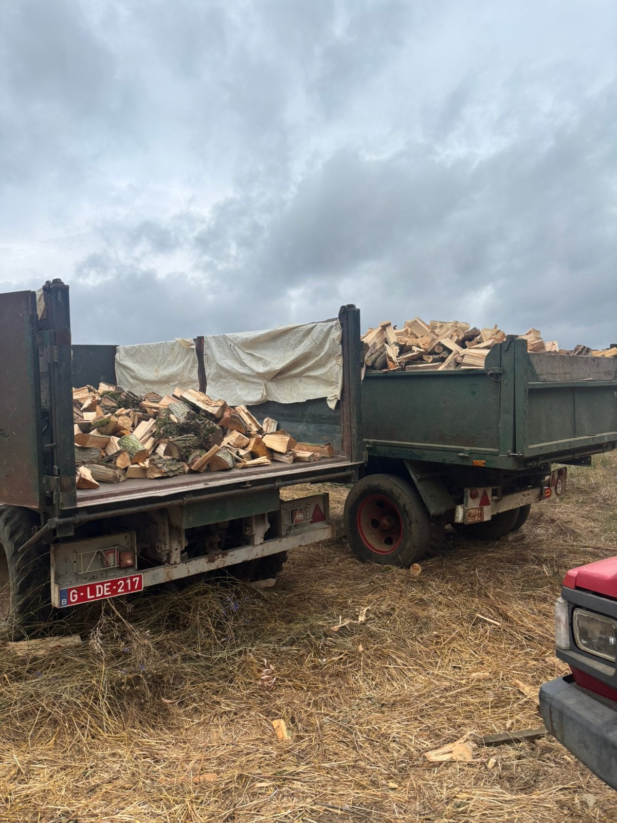 canada brandhout te koop, klaar voor in houtkachel, 6 m³ ou plus, Enlèvement ou Envoi, Autres essences de bois, Bûches