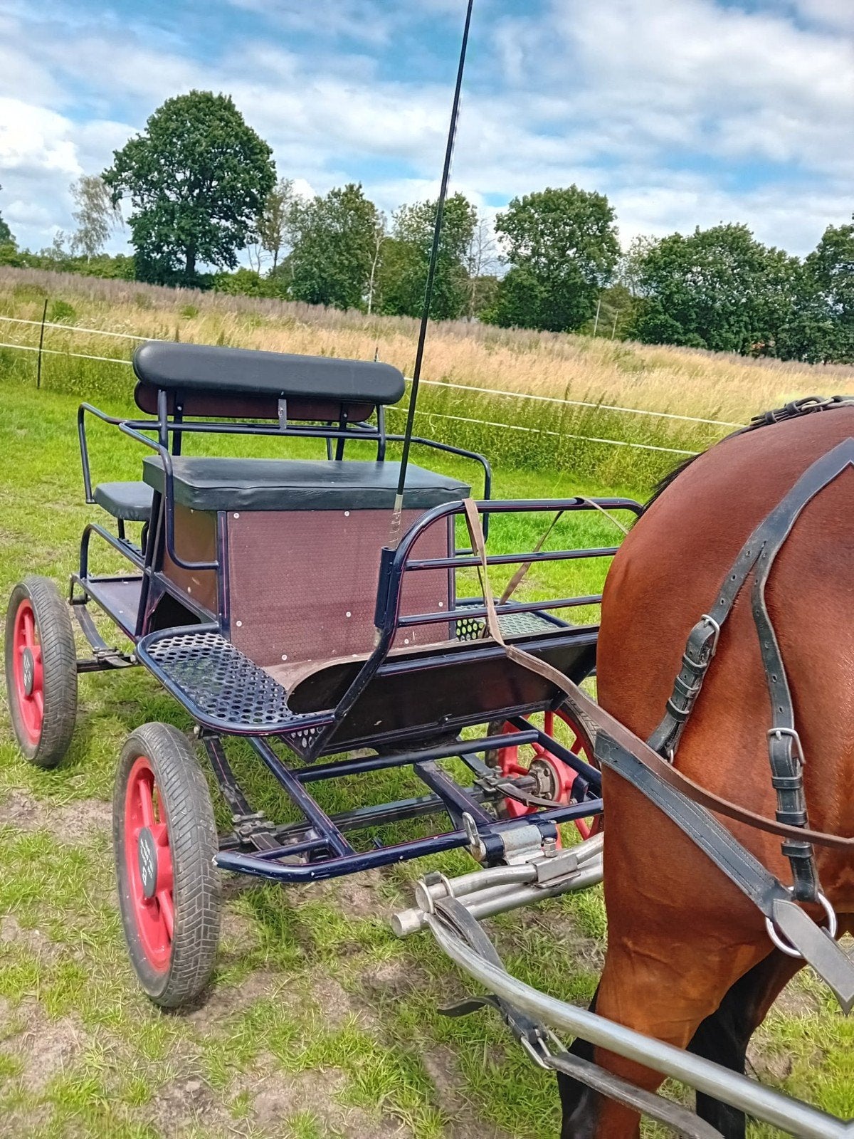 Marathon wagen, Dieren en Toebehoren, Paard