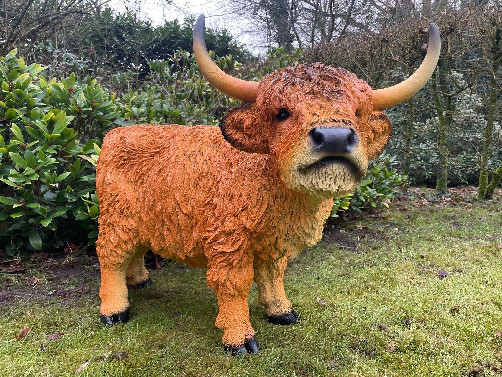Highlander écossais, vache rouge, jardin, ferme, 100 cm, Jardin & Terrasse, Statues de jardin, Neuf, Animal, Synthétique, Enlèvement