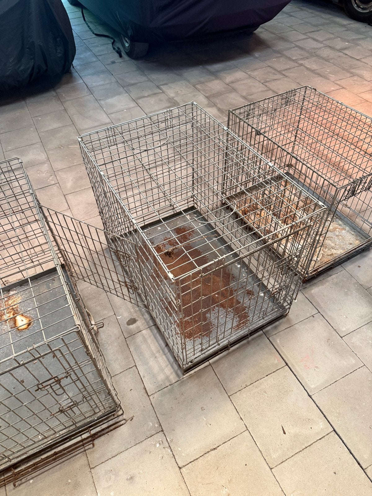 Diverse hondenkooien, Dieren en Toebehoren, Ophalen, Zo goed als nieuw