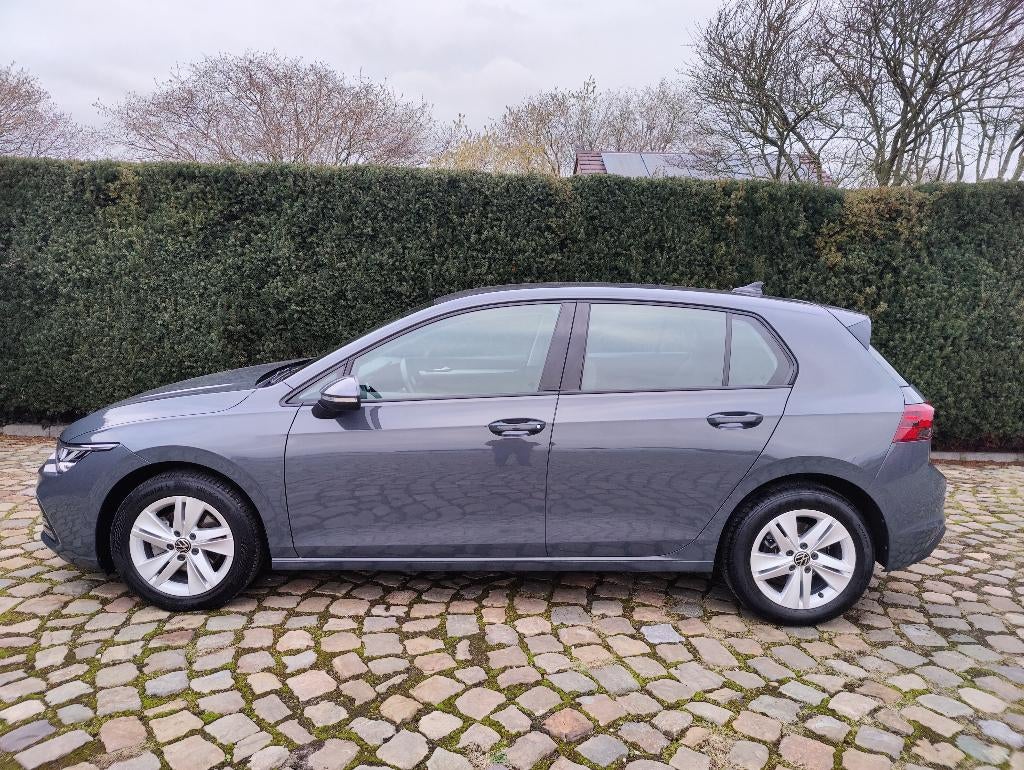 Volkswagen Golf 1.0 eTSI Life Business OPF DSG, Auto's, Stof, Bedrijf, 5 deurs, Golf