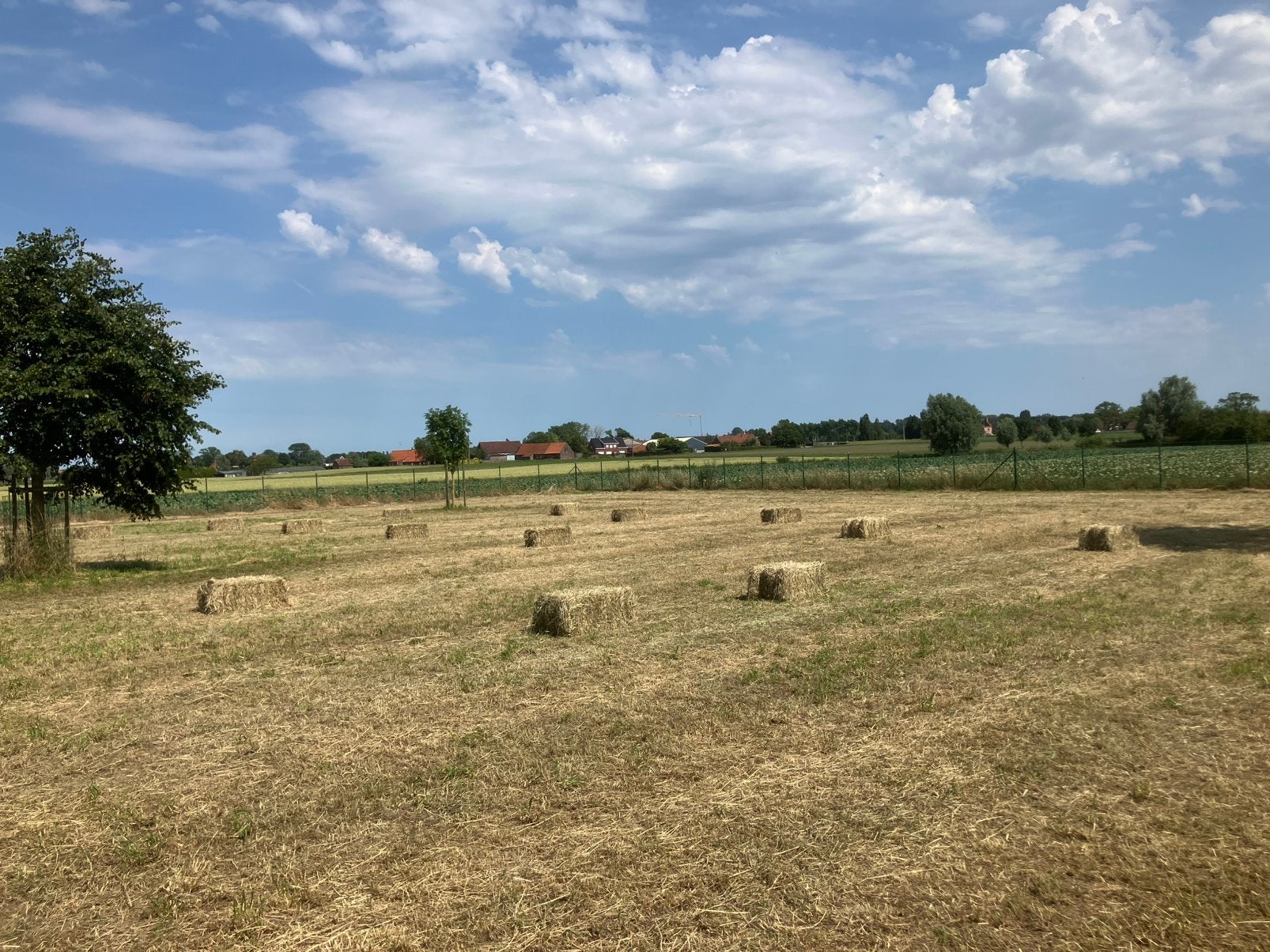 Kleine balen hooi juni 2026, Dieren en Toebehoren, Stalling en Weidegang