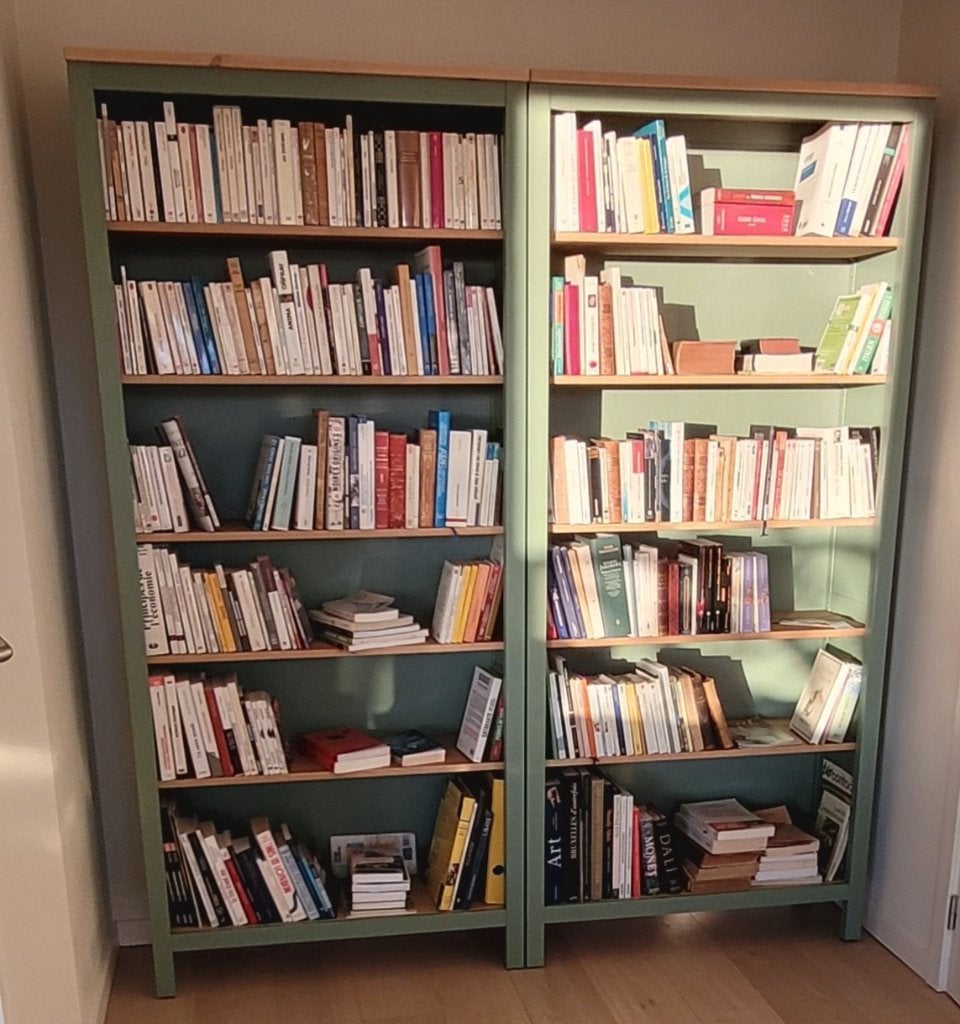 2 bibliothèques ikea hemnes chêne clair vert neuves, Neuf, 25 à 50 cm, 200 cm ou plus, Moins de 100 cm