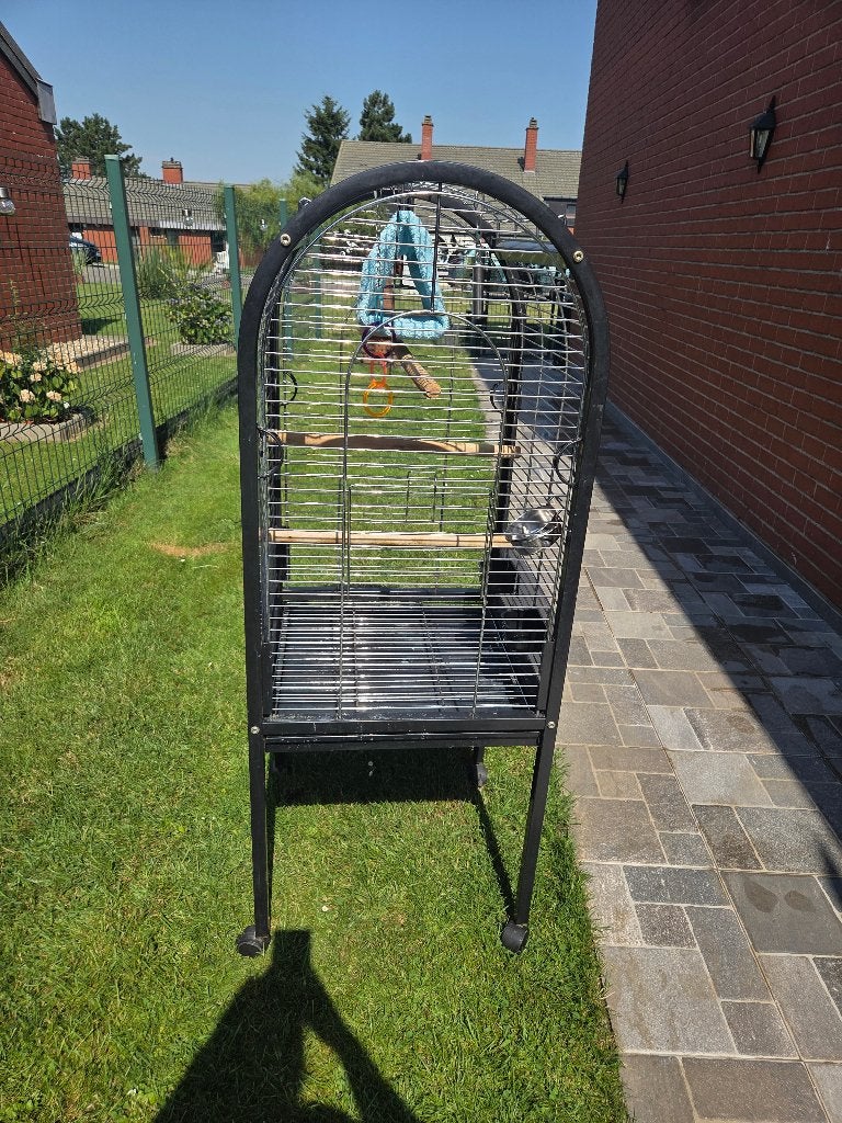 Cage à perroquet ou perruche avec accessoires, Enlèvement, Comme neuf