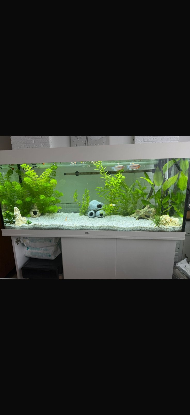 Aquarium en vissen, Aquarium d'eau douce rempli, Comme neuf, Enlèvement, Accessoires inclus