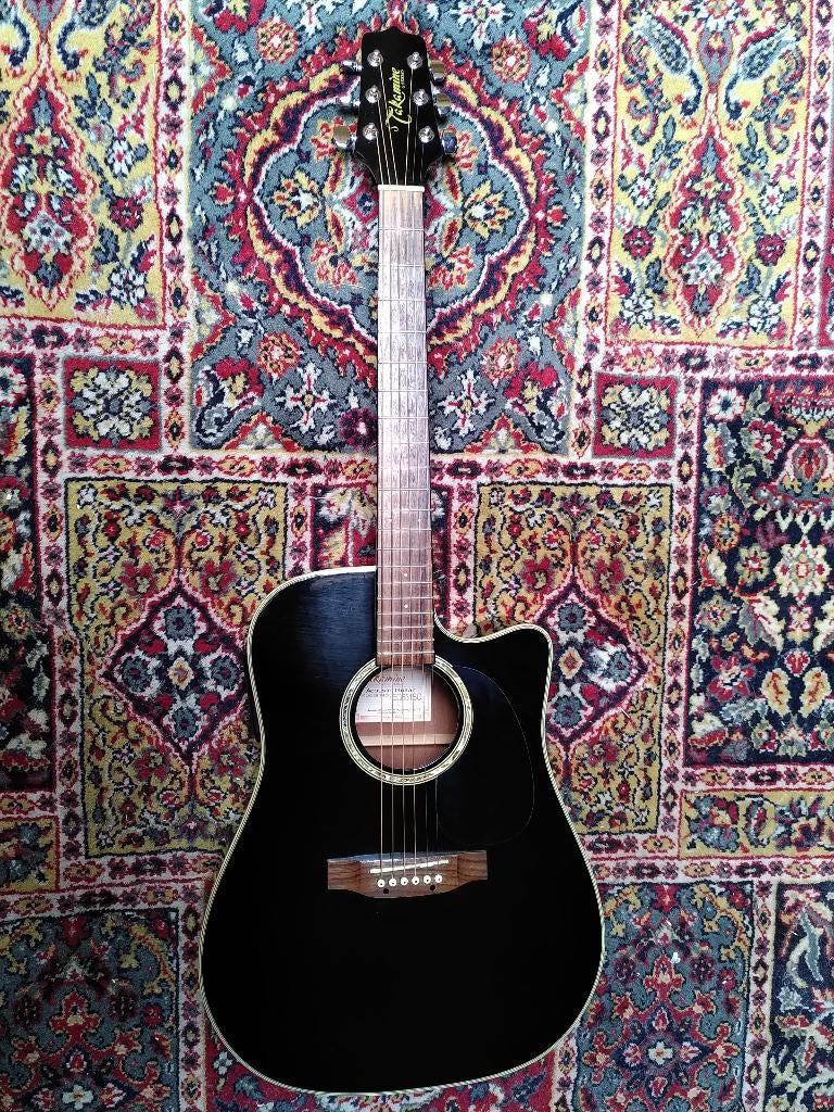 Takamine G series, Enlèvement, Utilisé, Guitare Western ou Guitare Folk, Avec valise