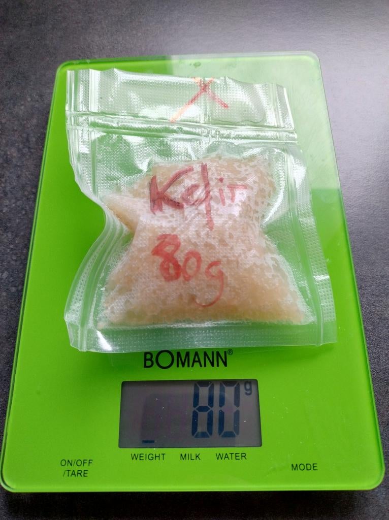 Ferment Kéfir de fruits - Kéfir d'eau (70 g), Envoi, Comme neuf