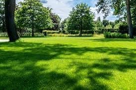 Tuinman