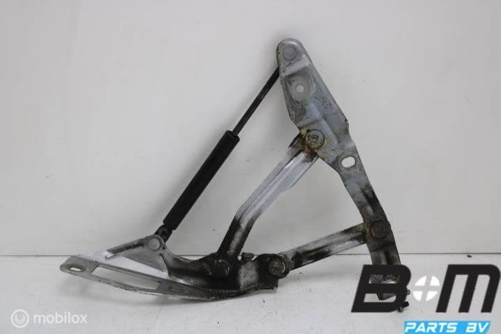 Motorkapscharnier links Audi TT 8N 8N0823301, Gebruikt