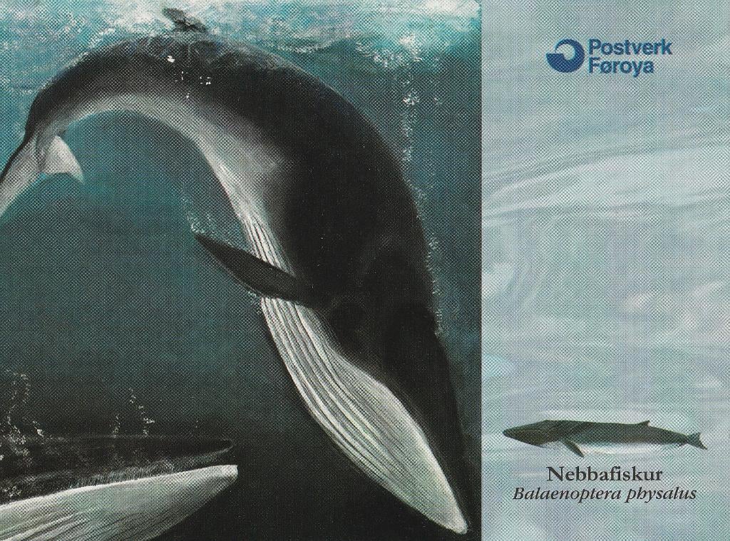 GEWONE  VINVIS, Verzamelen, Postkaarten | Dieren, Verzenden, Ongelopen, Waterdier
