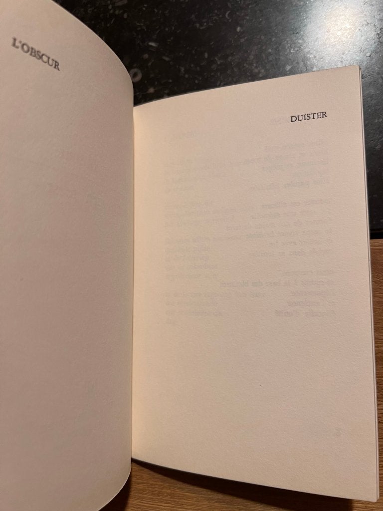 Le jour obscur / wonen een feest - Annie Reniers, Annie Reniers, Ophalen of Verzenden, Zo goed als nieuw, Eén auteur